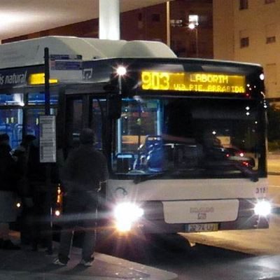 Stadt Bus STCP