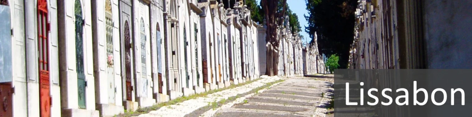 Friedhof Lissabon