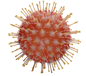 Corona Covid 19 Virus