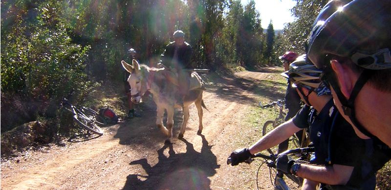 Fahrrad Portugal Urlaub Tour Fahrrad 