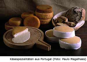 Portugal Käse