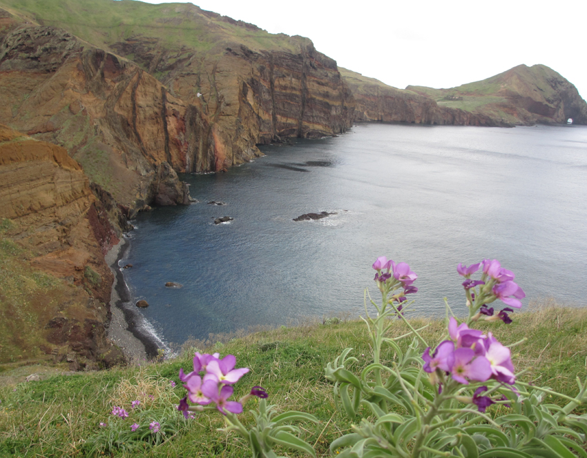 Madeira Klima Reisezeit