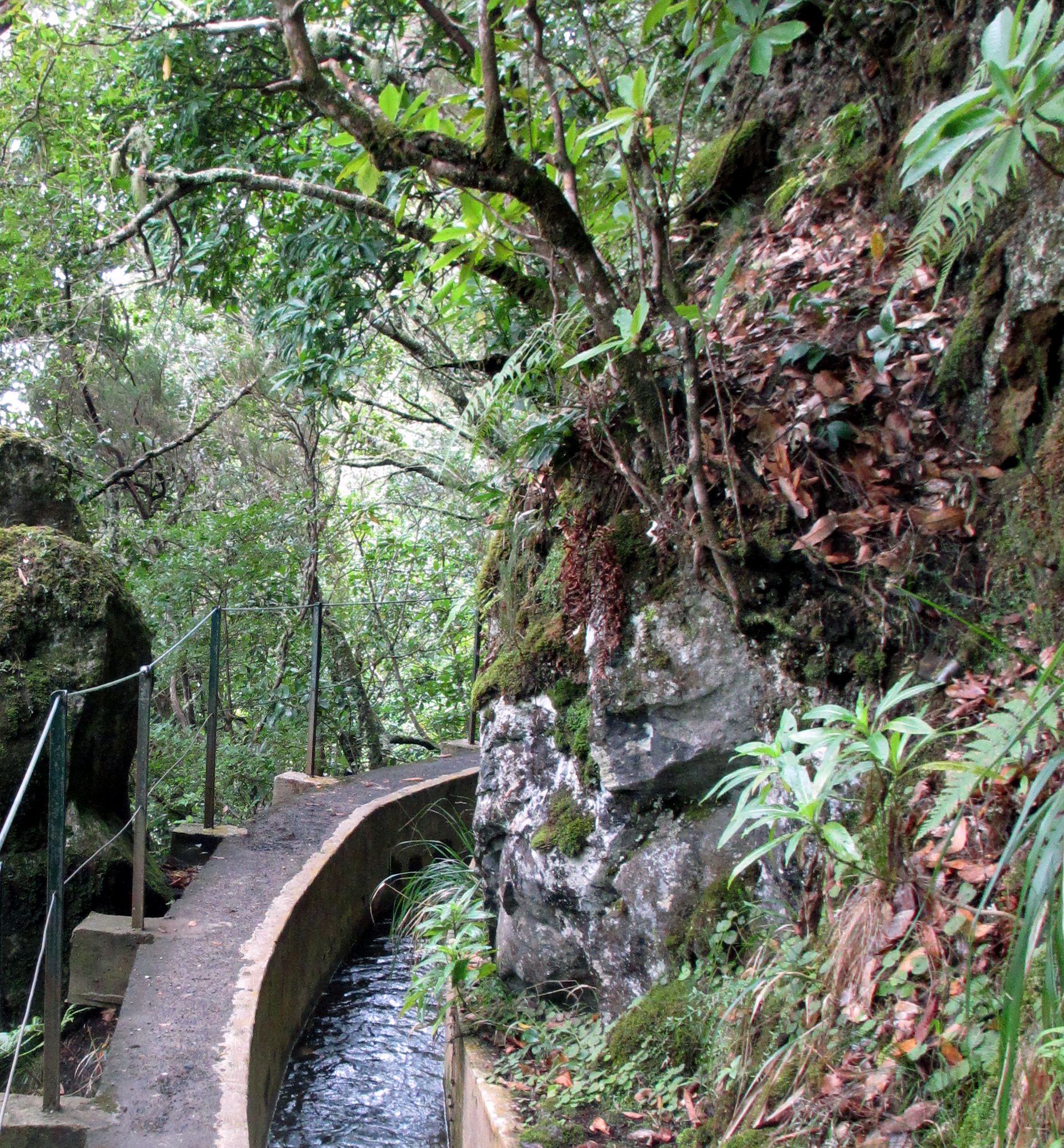 Madeira Wandern Levada