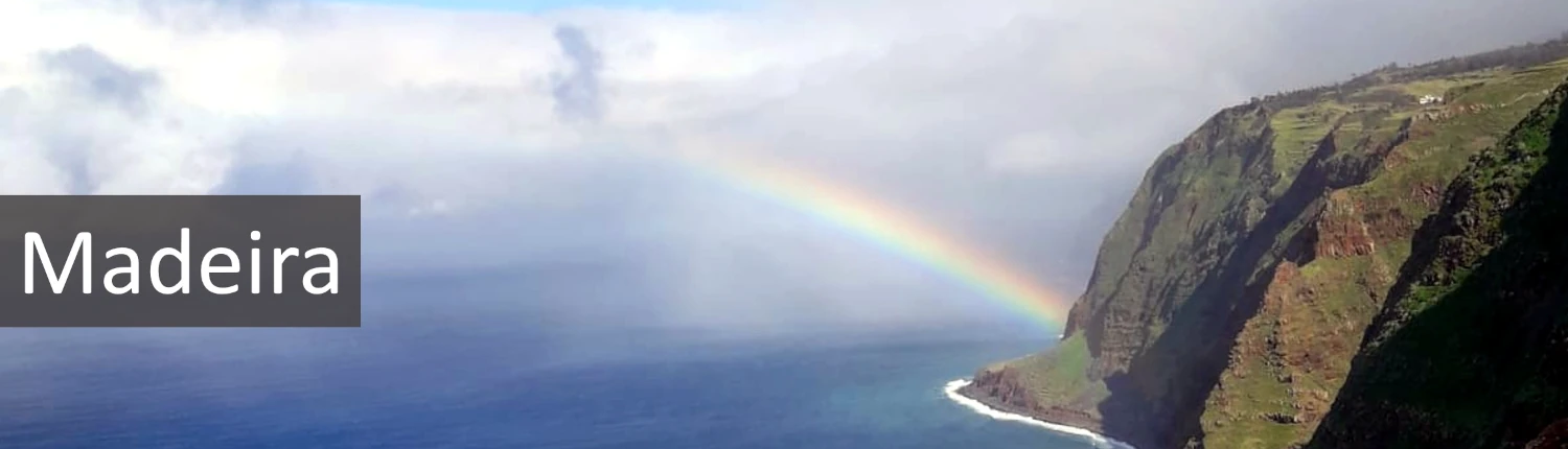 madeira_whale_watching_b