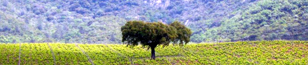 nationalparks_portugal Portugal Nationalpark