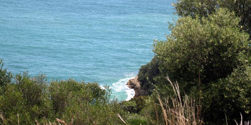 Natur Wander Lissabon