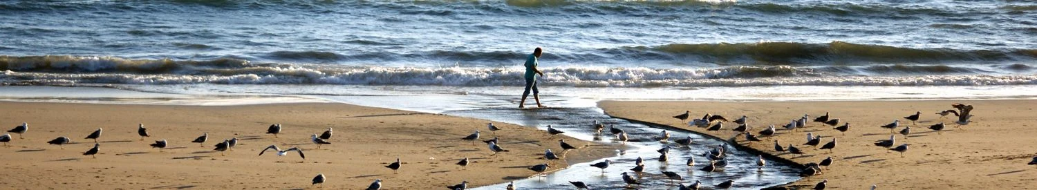 porto_strand Strand in Porto