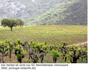 Portugal Herbst Reisezeit Wein