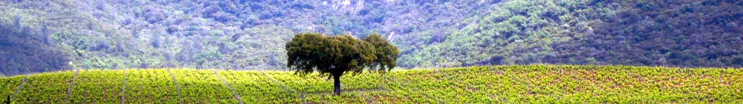 portugal_natur_nationalpark Portugal Nationalpark