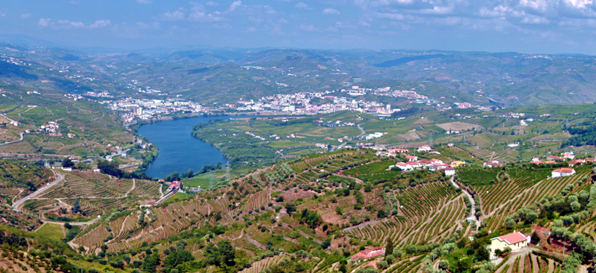 Portugal Essen Trinken Wein