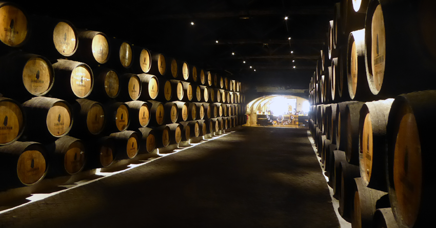 Portwein probieren besichtigen Tour