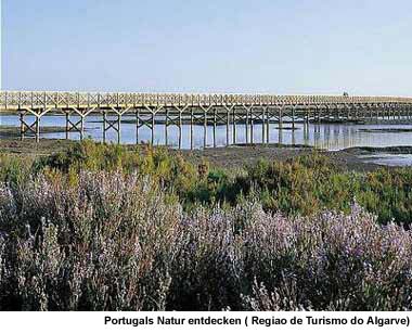 Ria Formosa Nationalpark Algarve